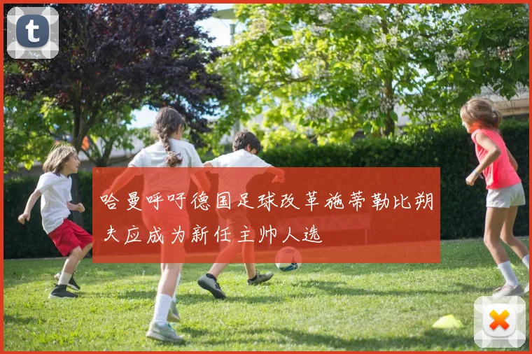 哈曼呼吁德国足球改革施蒂勒比朔夫应成为新任主帅人选