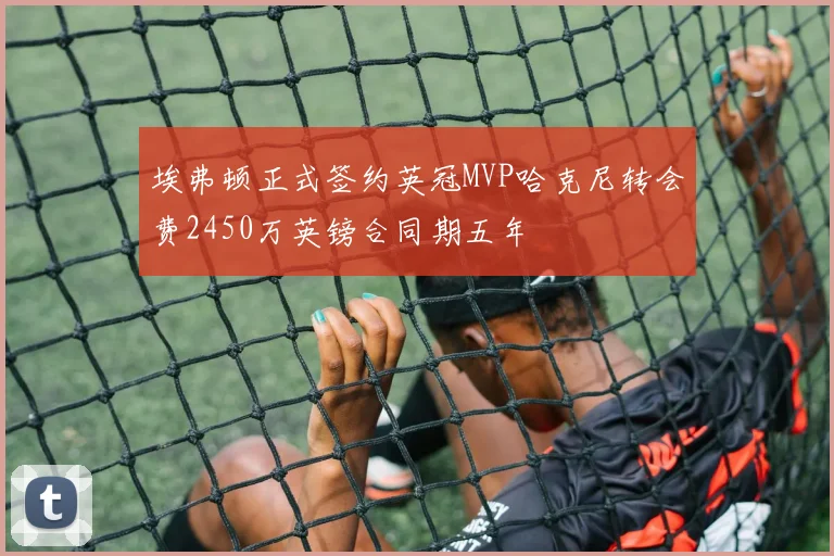 埃弗顿正式签约英冠MVP哈克尼转会费2450万英镑合同期五年