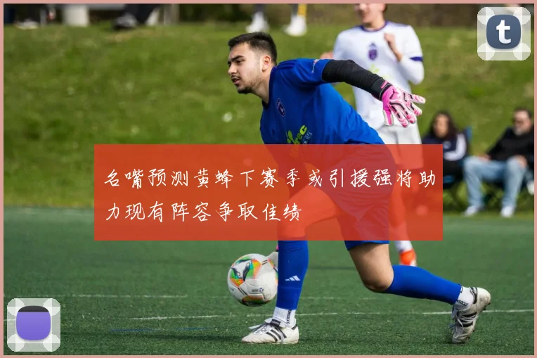 名嘴预测黄蜂下赛季或引援强将助力现有阵容争取佳绩