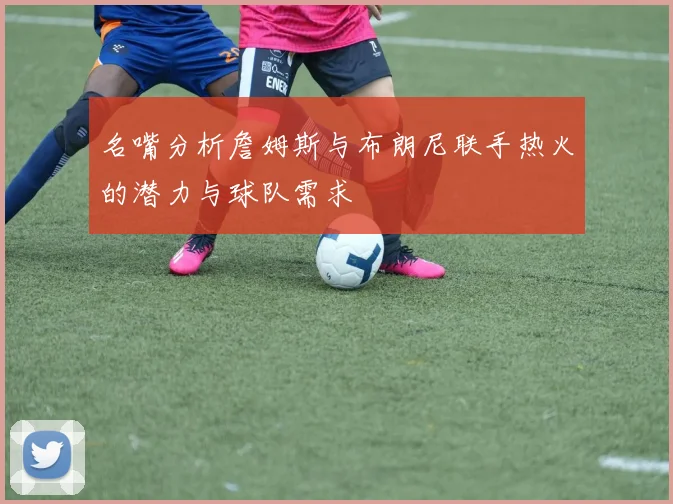 名嘴分析詹姆斯与布朗尼联手热火的潜力与球队需求